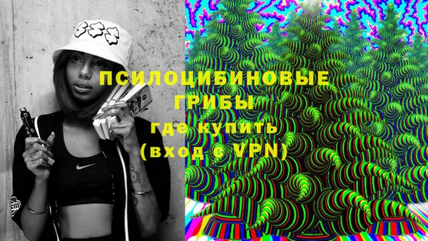 не бодяженный Алексин